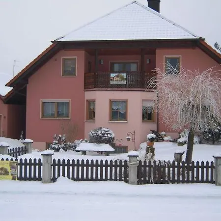 Vogel * Kemmern